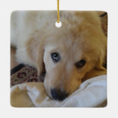 Funny Naughty Dog Gezegde Foto Keramisch Ornament (Achterkant)