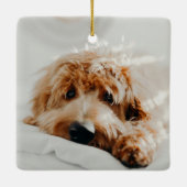 Funny Naughty Pet 2 met Kerstmis Keramisch Ornament (Achterkant)