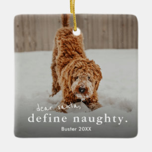 Funny Naughty Pet 2 met Kerstmis Keramisch Ornament