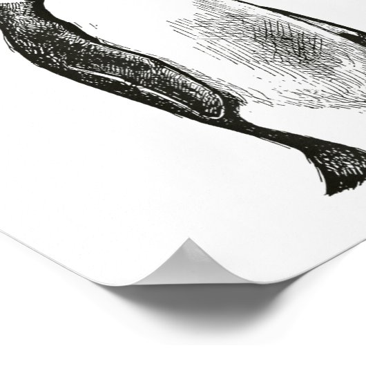 Funny New Year Same Baka Life Humor Penguin Joke Poster (Hoek)