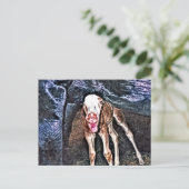 Funny Newborn Foal Briefkaart (Staand voorkant)