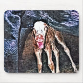 Funny Newborn Foal Muismat (Voorkant)