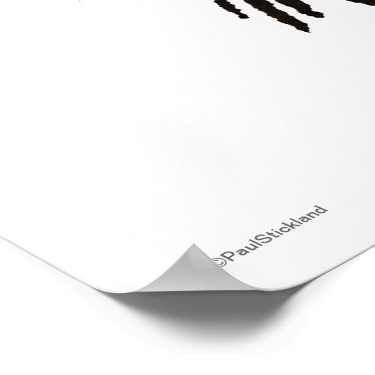 Funny Night Owl Poster (Hoek)