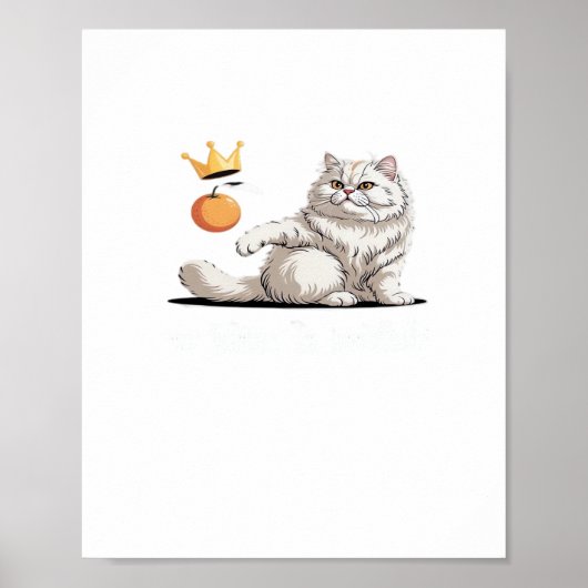 Funny No Kings In America Poster (Voorkant)