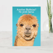 Funny No Problama Llama Birthday Wisdom Kaart (Voorkant)