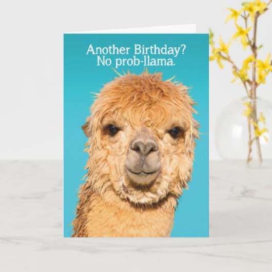 Funny No Problama Llama Birthday Wisdom Kaart (Gele Bloem)
