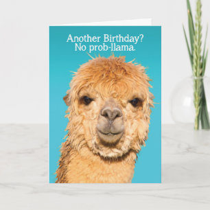 Funny No Problama Llama Birthday Wisdom Kaart