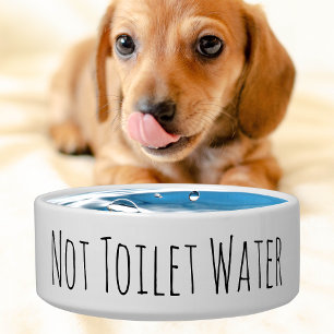 Funny not Toilet Water Pet Dish Ceramic Dog Bowl Voerbakje