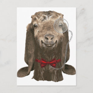 Funny Nubian Goat met monocle Briefkaart
