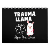 Funny Nurse Kalender (Hoes)