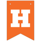 Funny Oh For Luck's Sake St Patrick's Day Vlaggetjes (Tweede vlag)