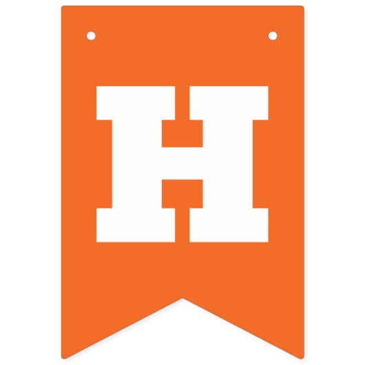 Funny Oh For Luck's Sake St Patrick's Day Vlaggetjes (Tweede vlag)