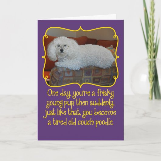 Funny Old Couch Poodle Birthday Kaart (Voorkant)