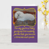 Funny Old Couch Poodle Birthday Kaart (Gele Bloem)