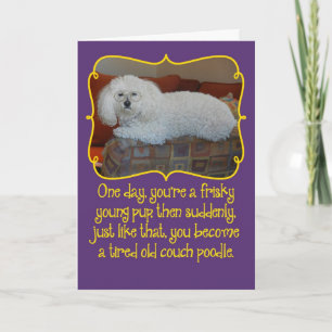 Funny Old Couch Poodle Birthday Kaart