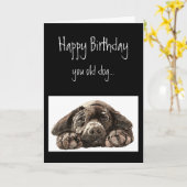 Funny Old Dog Birthday, Labrador Retriever Kaart (Gele Bloem)