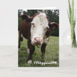 Funny Old Fart Koe Birthday Card Kaart<br><div class="desc">Deze blanke zag bruine hereford rundvleessector zijn grote tong naar je toe steken. Opgenomen in een kleurenfoto van dichtbij. met de geschreven versie van " het blazen van een framboe " aan de voorkant , en een sarcastisch ouder en wijzer commentaar aan de binnenkant . Pas elk object aan met...</div>