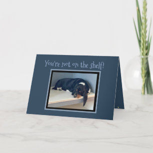 Funny "On The Shelf" Birthday w/Celebrating Basset Kaart