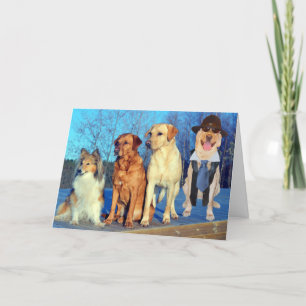 Funny One of a Kind Lab Birthday Kaart