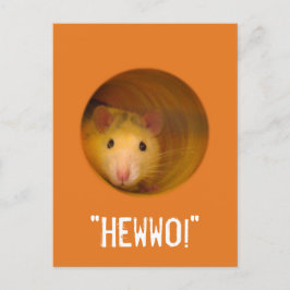 Funny Optical Illusion Rat in Gat Briefkaart