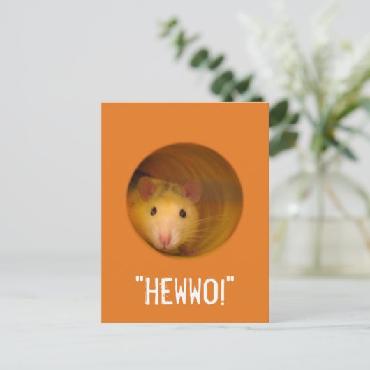 Funny Optical Illusion Rat in Gat Briefkaart (Staand voorkant)