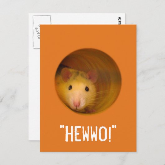 Funny Optical Illusion Rat in Gat Briefkaart (Voorkant / Achterkant)