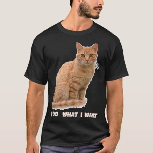 Funny Orange Tabby Cat Lovers Gifts T-shirt (Voorkant)