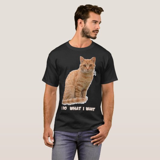 Funny Orange Tabby Cat Lovers Gifts T-shirt (Voorkant volledig)