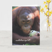 Funny Orangutan Birthday, Over the Hill Kaart (Gele Bloem)