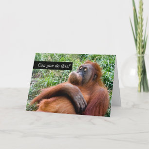 Funny Orangutan Wenskaart Kaart