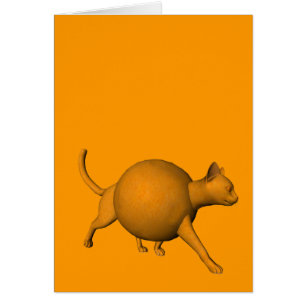 Funny Oranje Cat