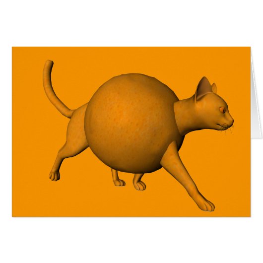 Funny Oranje Cat (Voorkant Horizontaal)
