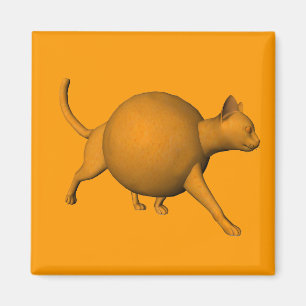Funny Oranje Cat Magneet