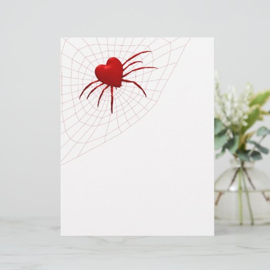 Funny Orb-Weaver Spider (Staand voorkant)