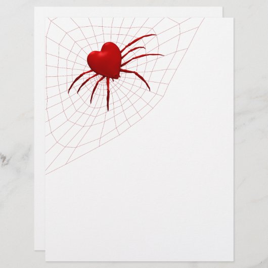 Funny Orb-Weaver Spider (Voorkant / Achterkant)