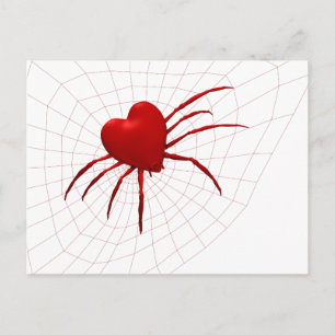 Funny Orb-Weaver Spider Briefkaart