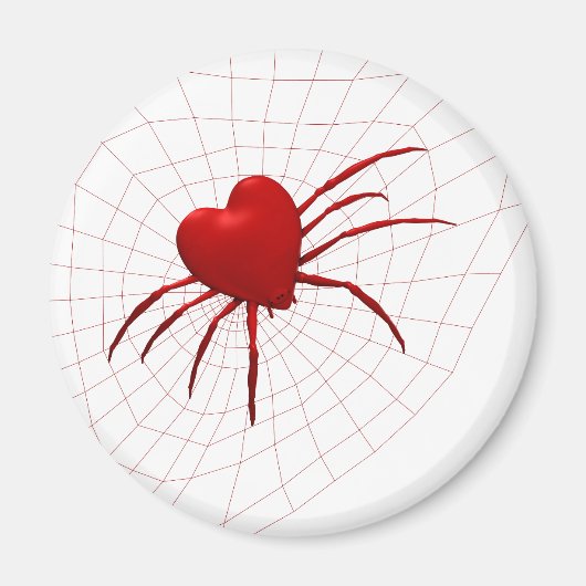 Funny Orb-Weaver Spider Magneet (Voorkant)