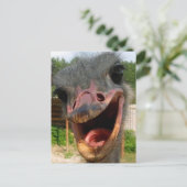 Funny Ostrich Bird Photo What's Up Briefkaart (Staand voorkant)