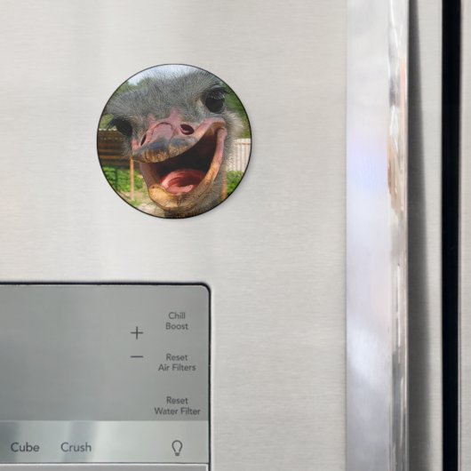 Funny Ostrich Bird Photo What's Up Magneet (Insitu (Koelkast))