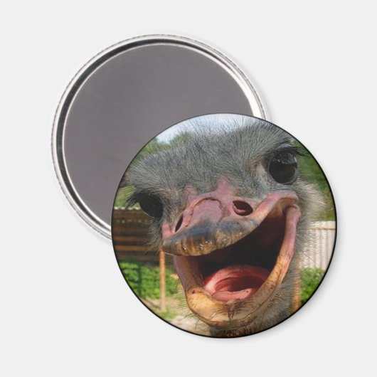 Funny Ostrich Bird Photo What's Up Magneet (Voorkant / Achterkant)