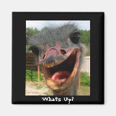 Funny Ostrich Bird Photo What's Up Magneet (Voorkant)