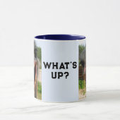 Funny Ostrich Bird Photo What's Up Mok (Midden)