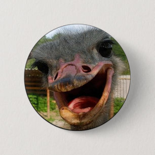 Funny Ostrich Bird Photo What's Up Ronde Button 5,7 Cm