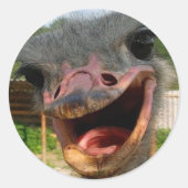 Funny Ostrich Bird Photo What's Up Ronde Sticker (Voorkant)