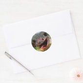 Funny Ostrich Bird Photo What's Up Ronde Sticker (Envelop)