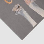 Funny Ostrich Bird Waterverf Illustratie | OMG Tissuepapier (Detail)