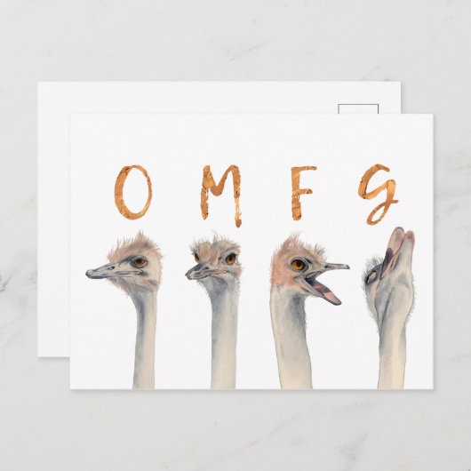 Funny Ostrich Birds OMFG Briefkaart (Voorkant / Achterkant)