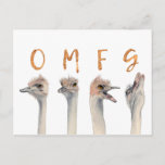 Funny Ostrich Birds OMFG Briefkaart<br><div class="desc">Dit is een waterverf schilderij van struisvogels met transitie-emoties van kalm naar smeltdown. Er zijn letters bovenop elke struisgras die "OMFG" in navelbladgoud lezen.</div>