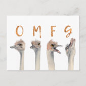 Funny Ostrich Birds OMFG Briefkaart (Voorkant)