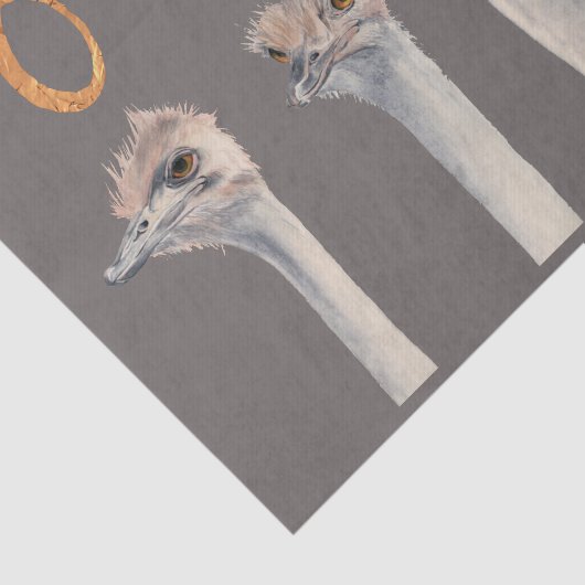Funny Ostrich Birds | OMFG Gold Font Tissuepapier (Detail)